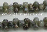 CLB630 15.5 inches 4*9mm bone AB-color labradorite beads