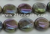 CLB635 15.5 inches 10mm flat round AB-color labradorite beads