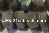 CLB701 15.5 inches 12*22mm - 14*24mm faceted nuggets labradorite beads