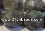 CLB704 15.5 inches 15*18mm - 20*25mm faceted nuggets labradorite beads