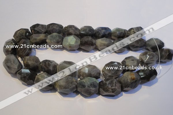 CLB704 15.5 inches 15*18mm - 20*25mm faceted nuggets labradorite beads