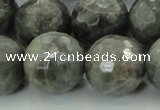 CLB715 15.5 inches 20mm faceted round labradorite gemstone beads