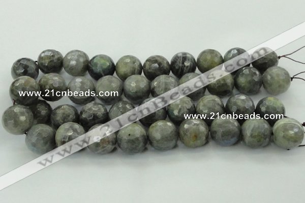 CLB715 15.5 inches 20mm faceted round labradorite gemstone beads