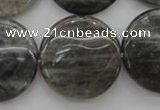 CLB739 15.5 inches 30mm flat round labradorite gemstone beads