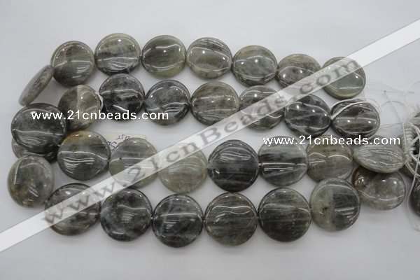 CLB739 15.5 inches 30mm flat round labradorite gemstone beads