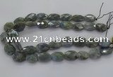 CLB769 15.5 inches 13*18mm - 18*25mm faceted freeform labradorite beads