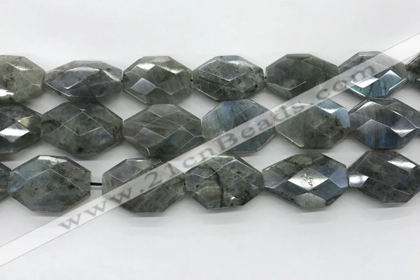 CLB798 20*28mm - 22*32mm faceted octagonal labradorite beads