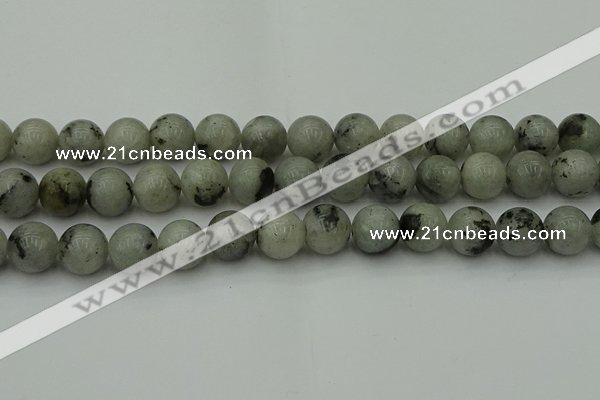 CLB855 15.5 inches 14mm round AB grade labradorite beads wholesale