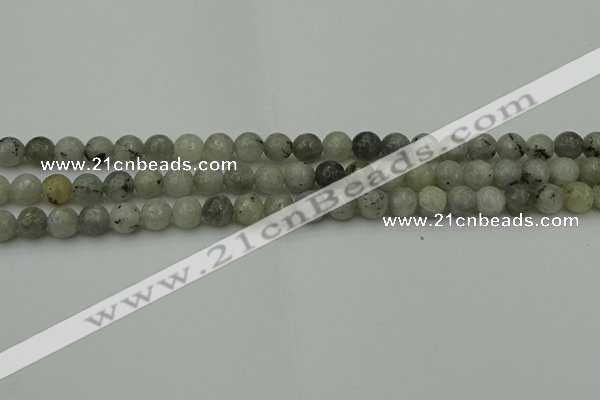 CLB860 15.5 inches 4mm faceted round AB grade labradorite beads