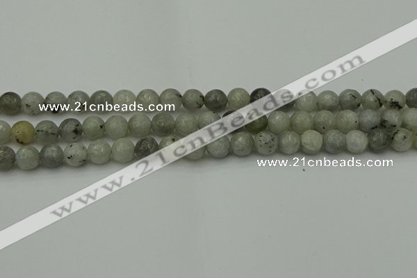 CLB862 15.5 inches 8mm faceted round AB grade labradorite beads
