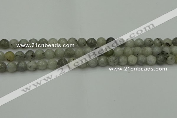 CLB862 15.5 inches 8mm faceted round AB grade labradorite beads