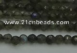 CLB900 15.5 inches 4mm faceted round labradorite gemstone beads