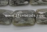 CLB96 15.5 inches 18*25mm faceted rectangle labradorite beads