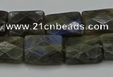 CLB962 15.5 inches 13*18mm faceted rectangle labradorite beads