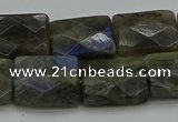 CLB963 15.5 inches 15*20mm faceted rectangle labradorite beads