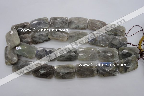 CLB97 15.5 inches 20*30mm faceted rectangle labradorite beads