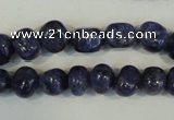 CLJ242 15.5 inches 10mm nuggets dyed sesame jasper beads wholesale