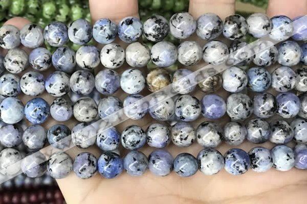 CLJ511 15.5 inches 4mm,6mm,8mm,10mm & 12mm round sesame jasper beads