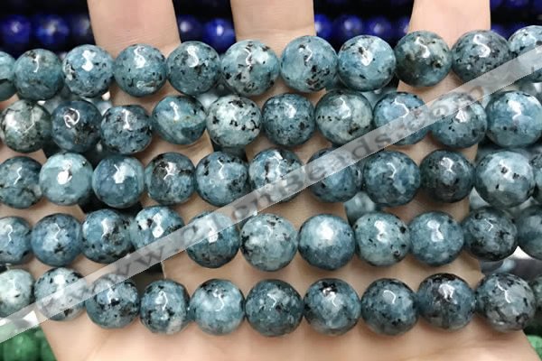 CLJ572 15 inches 10mm faceted round sesame jasper beads