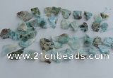 CLR90 Top drilled 15*20mm - 25*35mm freeform larimar beads