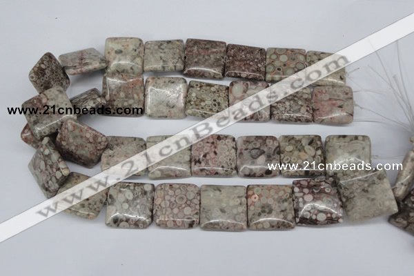 CMB23 15.5 inches 25*25mm square natural medical stone beads