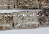 CMB28 15.5 inches 20*30mm rectangle natural medical stone beads