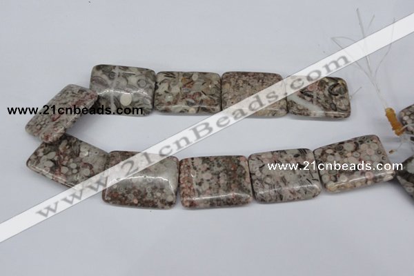 CMB29 15.5 inches 30*40mm rectangle natural medical stone beads