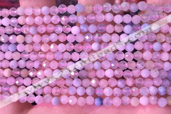 CMG396 15.5 inches 4mm faceted round morganite beads wholesale