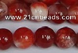CMJ1157 15.5 inches 10mm round jade beads wholesale
