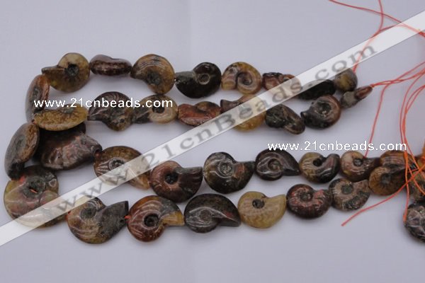 CMM01 15.5 inches 13*18mm - 30*35mm carved ammonite gemstone beads