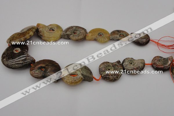 CMM02 15.5 inches 18*25mm - 35*45mm carved ammonite gemstone beads