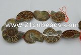 CMM03 15.5 inches 35*45mm - 45*55mm carved ammonite gemstone beads