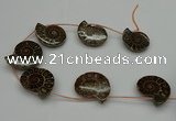 CMM05 15.5 inches 30*35mm - 35*40mm carved ammonite gemstone beads