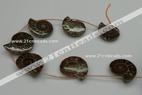 CMM05 15.5 inches 30*35mm - 35*40mm carved ammonite gemstone beads