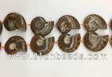 CMM10 15.5 inches 30*40mm - 35*45mm carved ammonite gemstone beads