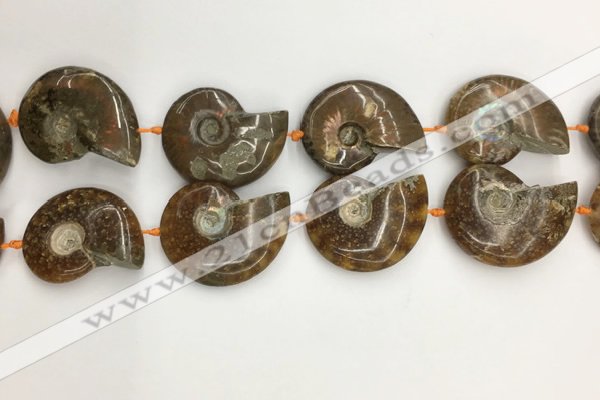 CMM10 15.5 inches 30*40mm - 35*45mm carved ammonite gemstone beads