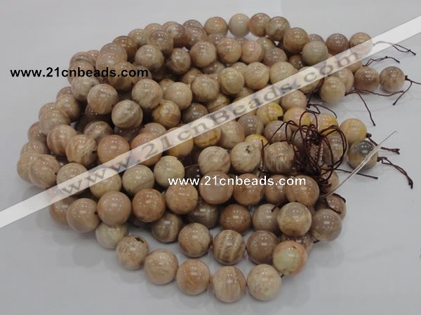 CMS04 15.5 inches 18mm round moonstone gemstone beads wholesale