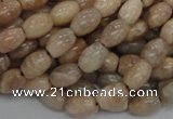 CMS06 15.5 inches 6*10mm rice moonstone gemstone beads wholesale