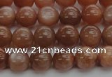 CMS1002 15.5 inches 8mm round AA grade moonstone gemstone beads