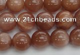 CMS1003 15.5 inches 10mm round AA grade moonstone gemstone beads