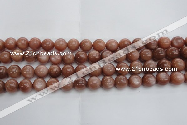 CMS1004 15.5 inches 12mm round AA grade moonstone gemstone beads