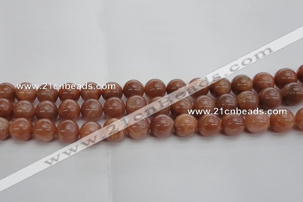 CMS1005 15.5 inches 14mm round AA grade moonstone gemstone beads