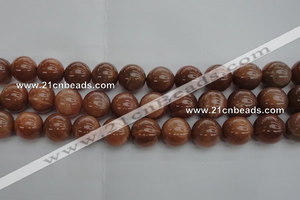 CMS1006 15.5 inches 16mm round AA grade moonstone gemstone beads