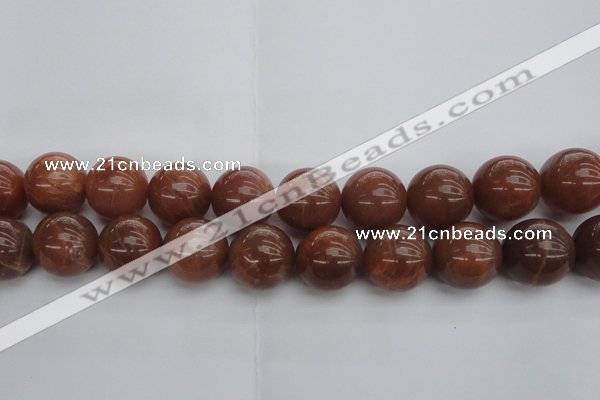 CMS1007 15.5 inches 18mm round AA grade moonstone gemstone beads