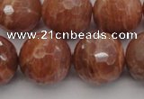 CMS1017 15.5 inches 16mm faceted round AA grade moonstone beads