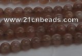 CMS1020 15.5 inches 4mm round AA grade moonstone gemstone beads