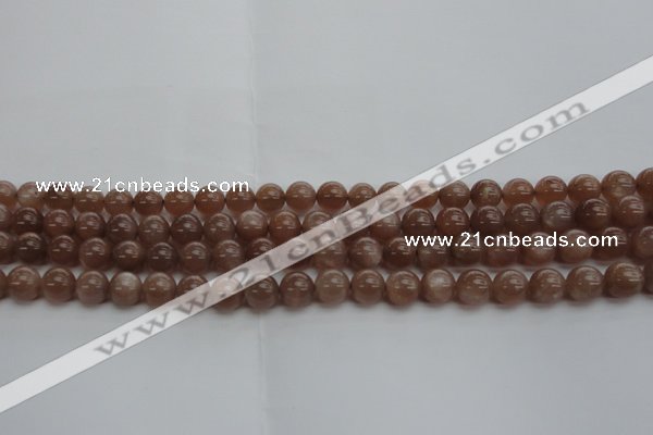 CMS1022 15.5 inches 8mm round AA grade moonstone gemstone beads