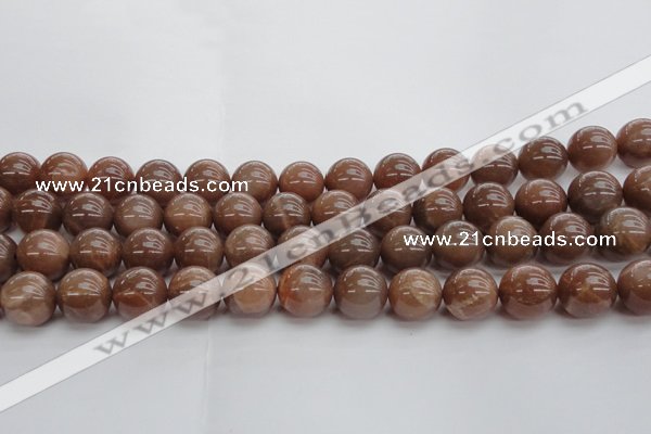 CMS1025 15.5 inches 14mm round AA grade moonstone gemstone beads