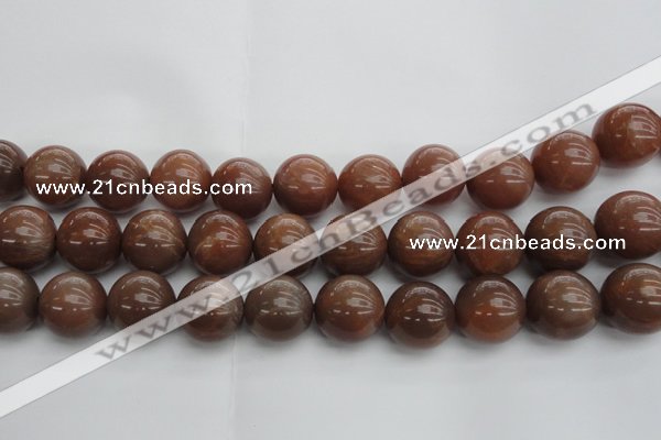 CMS1026 15.5 inches 16mm round AA grade moonstone gemstone beads