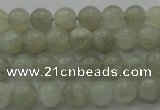 CMS1051 15.5 inches 6mm round grey moonstone beads wholesale